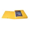 Boite de classement Exabox Dos 40mm Carte lustrée Scotten - A4