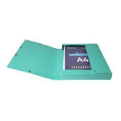 Boite de classement Exabox Dos 40mm Carte lustrée Scotten - A4