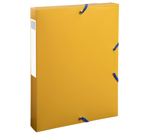 Boîte de classement polypropylène recyclé BeeBlue dos 40mm - A4