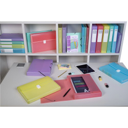 Boite de classement Exabox Dos 25mm Polypropylène 7/10e Chromaline pastel - A4