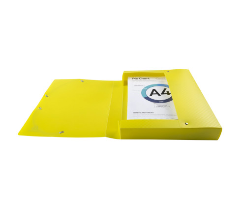 Boite de classement polypropylène Forever Young dos 40mm - A4