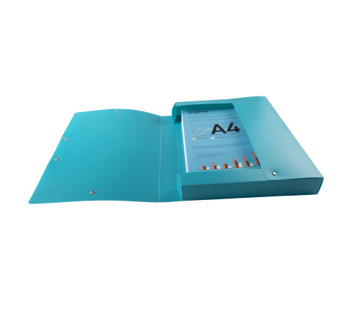 Boite de classement polypropylène Forever Young dos 40mm - A4