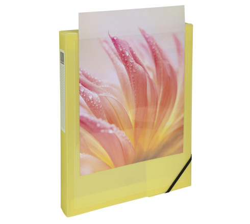 Boite de classement polypropylène Kreacover Pastel dos 40mm - A4