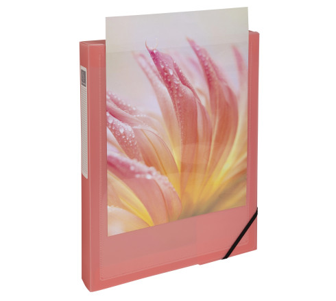Boite de classement polypropylène Kreacover Pastel dos 40mm - A4