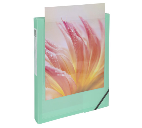 Boite de classement polypropylène Kreacover Pastel dos 40mm - A4