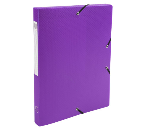 Boite de Classement Exabox Dos 25mm polypropylène 7/10e OPAK - A4