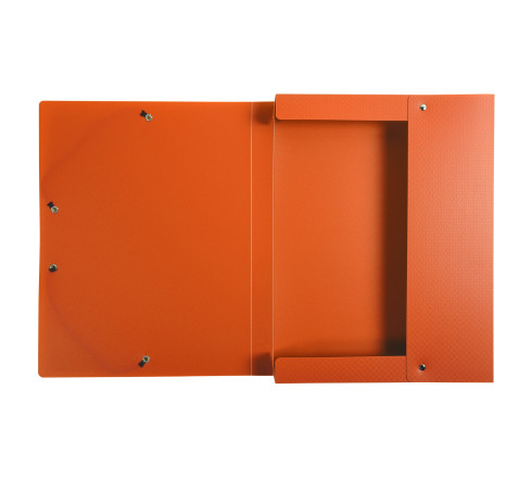 Boite de Classement Exabox Dos 25mm polypropylène 7/10e OPAK - A4