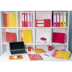 Boite de classement en polyproppylène dos 60mm Iderama PP - A4