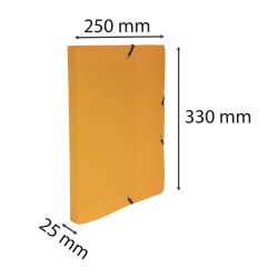 Boite de classement Dos 25mm polypropylène 8/10e Lincolor - A4