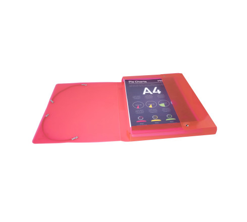 Boite de classement en polypropylène Dos 25mm Iderama PP - A4