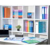 Boite de Classement Exabox Dos 40mm polypropylène 7/10e OPAK - A4