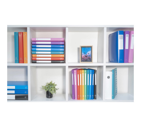Boite de Classement Exabox Dos 40mm polypropylène 7/10e OPAK - A4