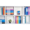 Boite de Classement Exabox Dos 40mm polypropylène 7/10e OPAK - A4