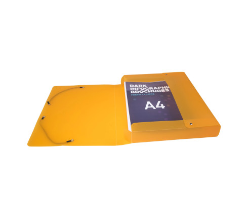 Boite de classement Dos 40mm polypropylène 8/10e Lincolor - A4