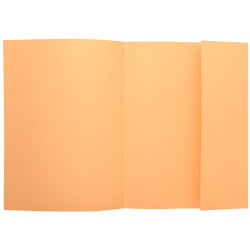 Paquet de 100 chemises 1 rabat SUPER 160g, format 24x32 cm, bulle