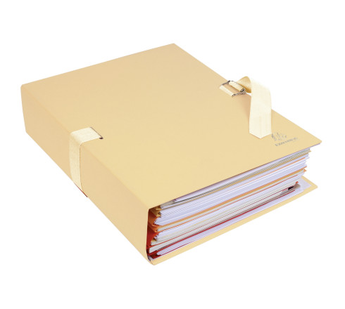 Chemises dos extensible papier