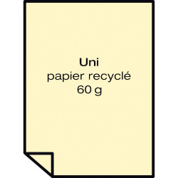 Recharge papier 63x98cm recyclé uni 60gr