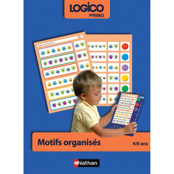 Fichier LOGICO PRIMO motifs organisés