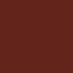 Paquet de 25 feuilles CARTOLINE 50x65cm chocolat