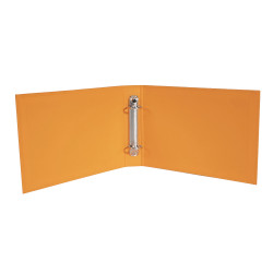 Classeur rigide rembordé pour fiches bristol 125x200mm 2 anneaux 25mm Iderama