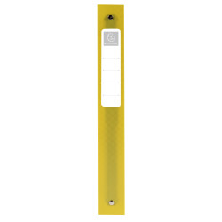Classeur 4 anneaux 30mm polypropylène Forever Young - A4 Maxi