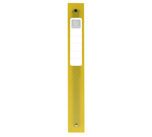 Classeur 4 anneaux 30mm polypropylène Forever Young - A4 Maxi