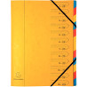 Trieur dos agrafé avec élastiques 12 compartiments, coloris assortis
