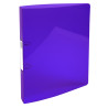 Classeur 2 anneaux 30mm IDERAMA PP - A4 maxi