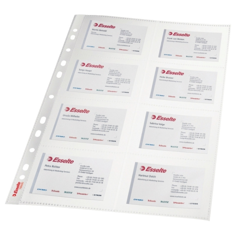Paquet de 10 pochettes perforées en polypropylène pour cartes de visit
