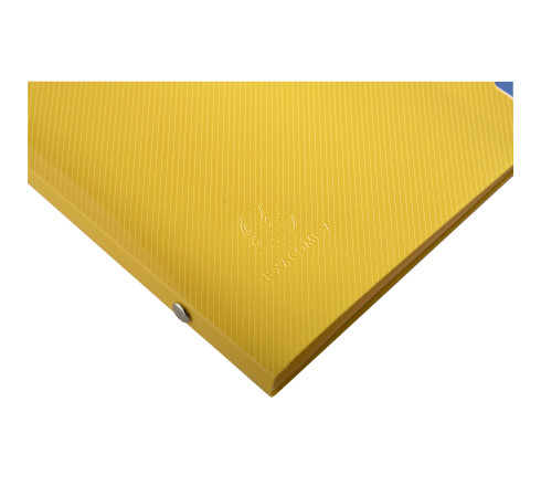Trieur 8 compartiments polypropylène recyclé BeeBlue - A4