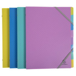 Trieur polypropylène 3 rabats Forever Young 8 compartiments - A4