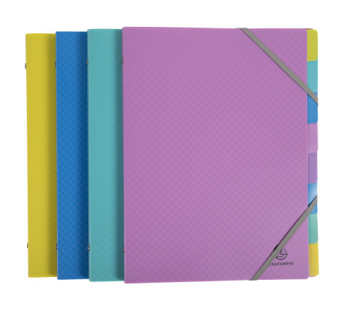 Trieur polypropylène 3 rabats Forever Young 8 compartiments - A4