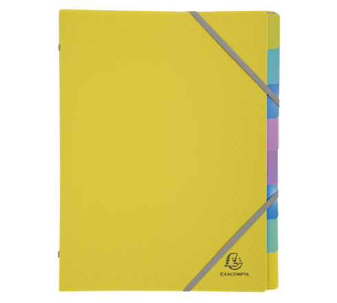 Trieur polypropylène 3 rabats Forever Young 8 compartiments - A4