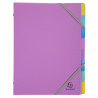 Trieur polypropylène 3 rabats Forever Young 8 compartiments - A4