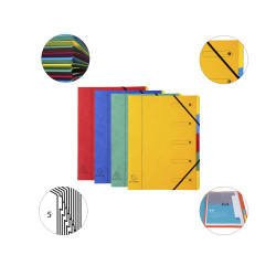 Trieur Harmonika fenêtres imprimées Véritable carte lustrée 5 compartiments