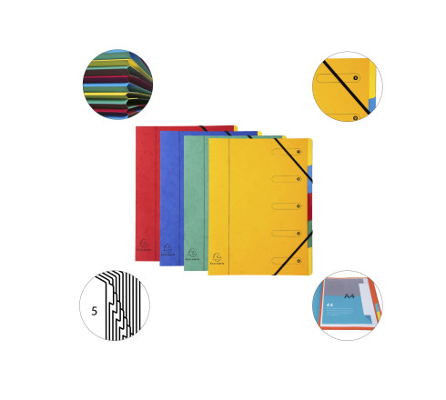 Trieur Harmonika fenêtres imprimées Véritable carte lustrée 5 compartiments