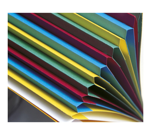 Trieur HARMONIKA® à fenêtres avec élastiques véritable carte lustrée 6 compartiments