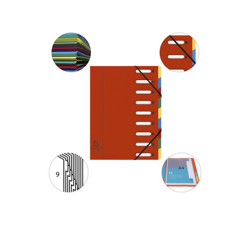 Trieur HARMONIKA® à fenêtres avec élastiques Véritable carte lustrée 9 compartiments
