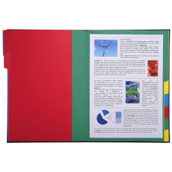 Trieur rigide ordonator dos extensible 9 compartiments