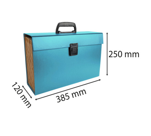 TRIEUR VALISETTE ÉCONOMIQUE 20 COMPARTIMENTS