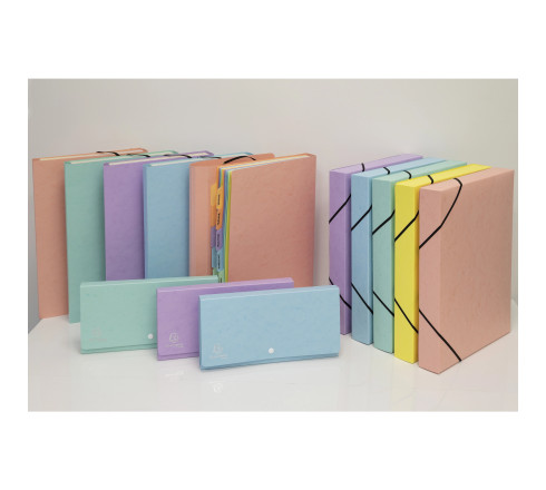 Pochette trieur carte multicolore 12 compartiments Aquarel - 34x24,5cm