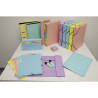 Pochette trieur carte multicolore 6 compartiments Aquarel - 26x13cm