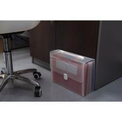 Trieur valisette avec poignée 24 compartiments Crystal - A4