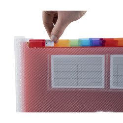 Trieur valisette avec poignée 24 compartiments Crystal - A4