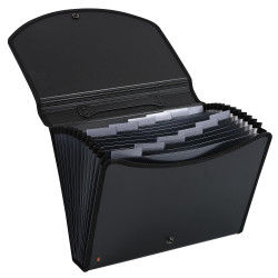Trieur valisette Exacase Exactive - 13 compartiments