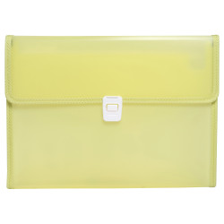 Trieur valisette polypropylène chromaline - 13 compartiments