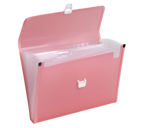 Trieur valisette polypropylène chromaline - 13 compartiments