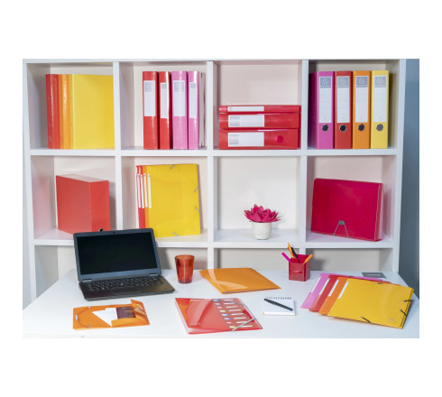 Trieur valisette 13 compartiments en polypropylène IDERAMA PP - 24x32cm