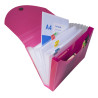 Trieur valisette 13 compartiments en polypropylène IDERAMA PP - 24x32cm