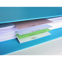 Paquet 100 fiches intercalaires horizontales unies perforées Forever - 105x240mm
